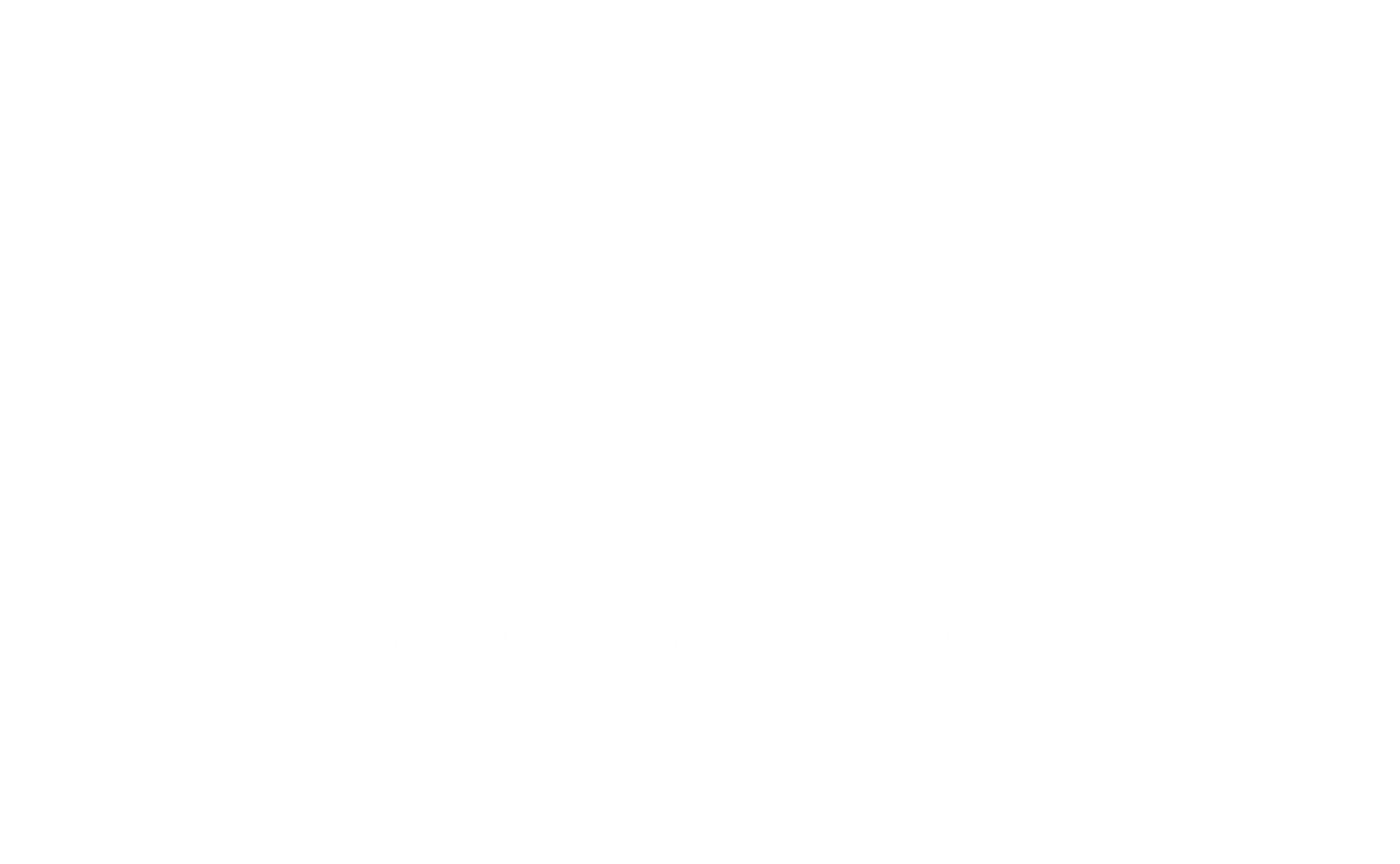 logo light
