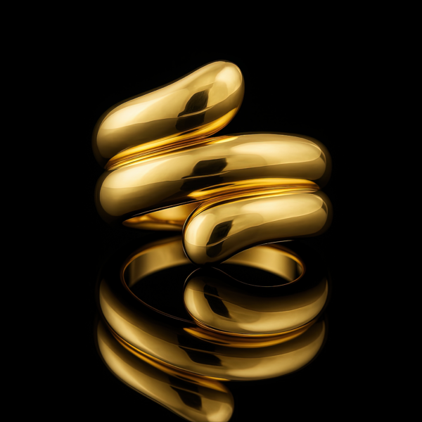 Facade Modern Ring Nº12