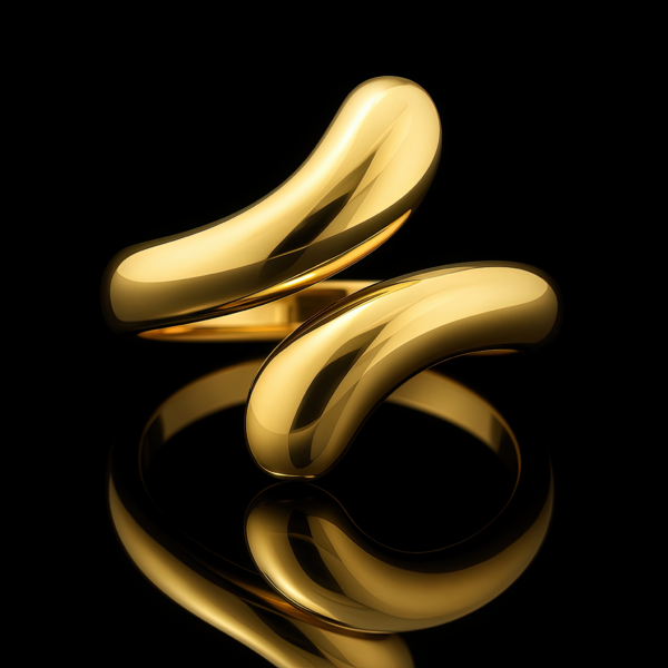 Facade Modern Ring Nº6