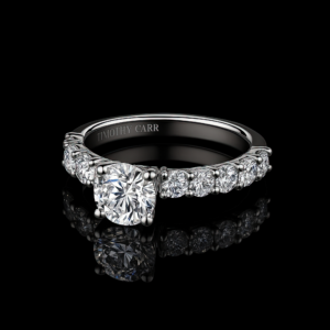 Round Solitaire Large Pave Band Nº1