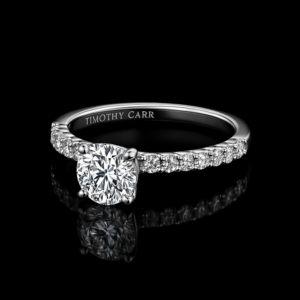 Round Solitaire Medium Pave Band Nº1